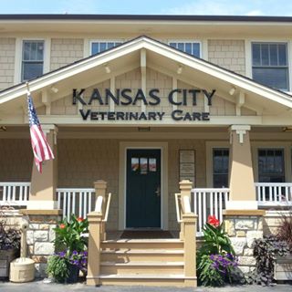 Kansas City Veterinary Care