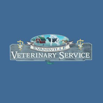 Evansville Veterinary Services