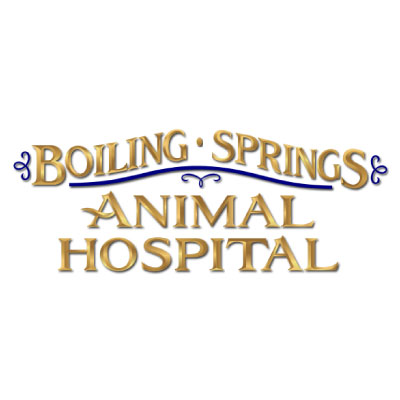 Boiling Springs Animal Hospital