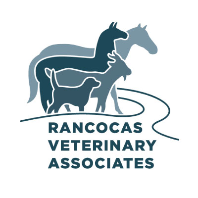 Rancocas Veterinary Associates