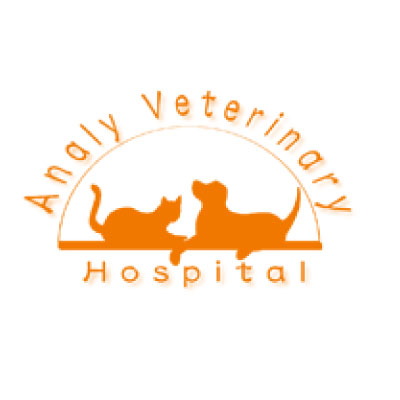 Analy Veterinary Hospital