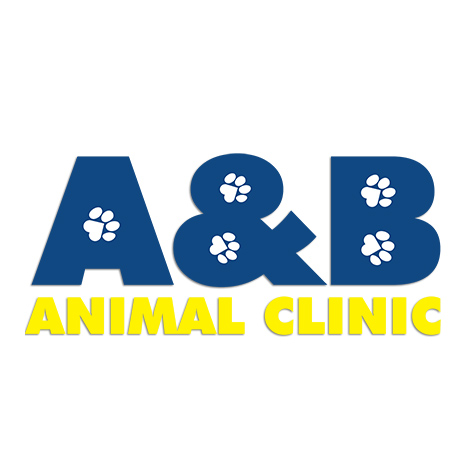 A and B Animal Clinic