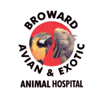 Broward Avian & Exotic Animal Hospital