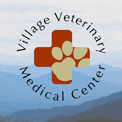 Village Veterinary Medical Center