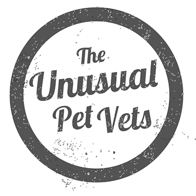 The Unusual Pet Vets Murdoch Clinic