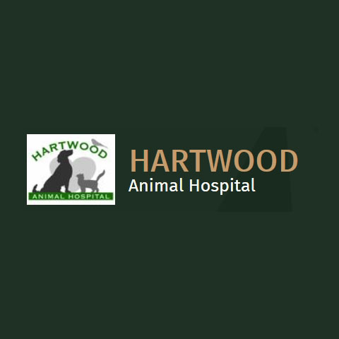 Hartwood Animal Hospital