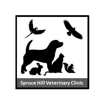 Spruce Hill Veterinary Clinic, Inc