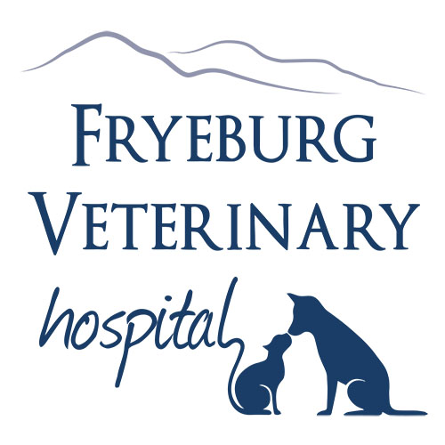 Fryeburg Veterinary Hospital
