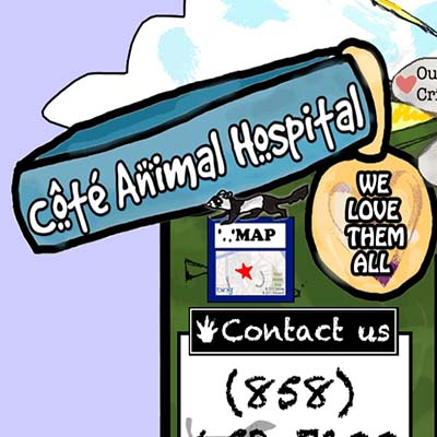 Cote Animal Hospital
