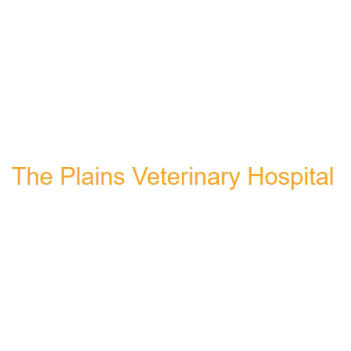 The Plains Veterinary Hospital