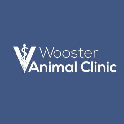 Wooster Animal Clinic