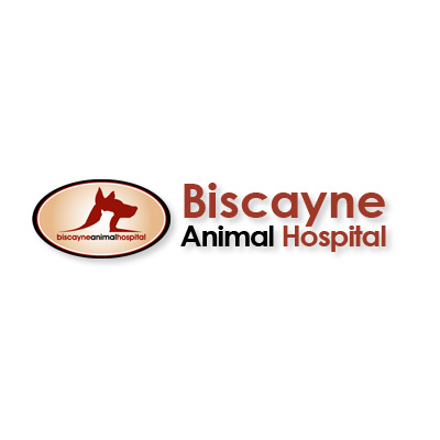 Biscayne Animal Hospital