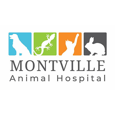 Montville Animal Hospital