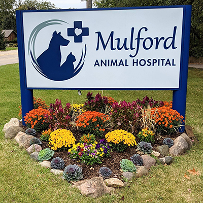 Mulford Animal Hospital