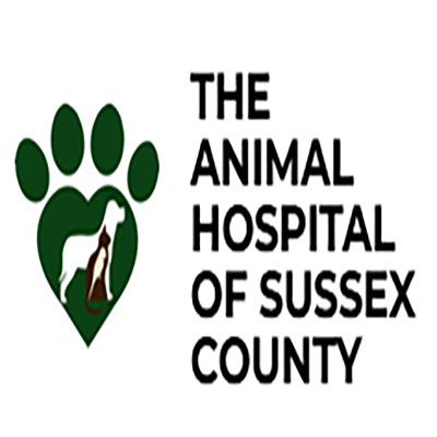Animal Hospital of Sussex County