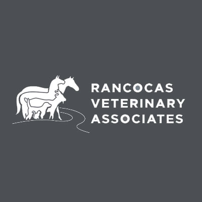 Rancocas Veterinary Associates