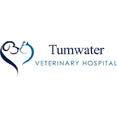 Tumwater Veterinary Hospital 