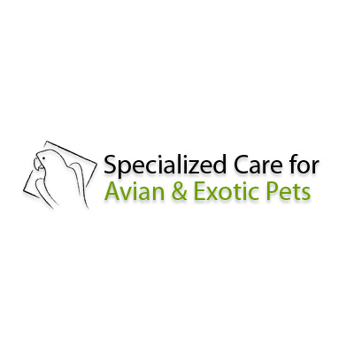 Specialized Care for Avian and Exotic Pets