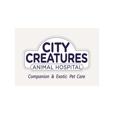 City Creatures Animal Hospital