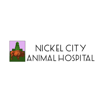 Nickel City Animal Hospital