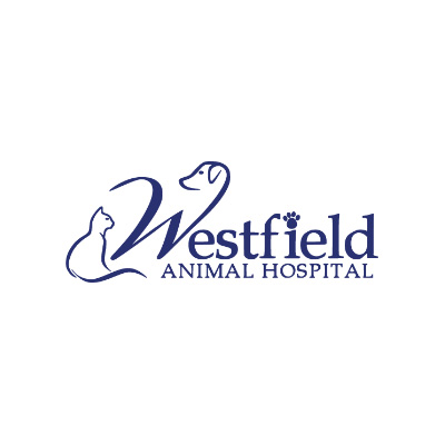 Westfield Animal Hospital