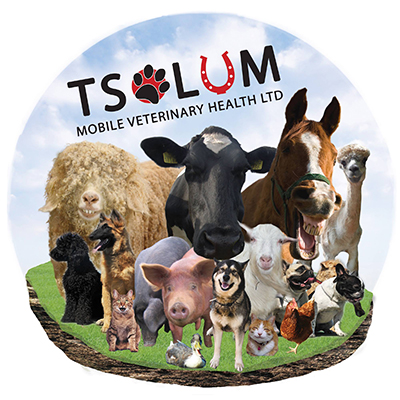 Tsolum Mobile Veterinary Health