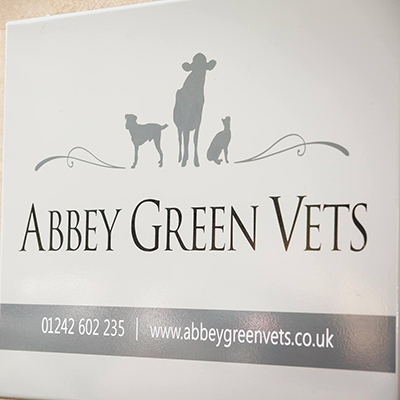Abbey Green Vets Ltd - Broadway