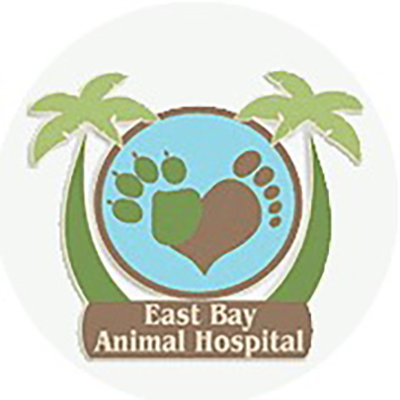East Bay Animal Hospital