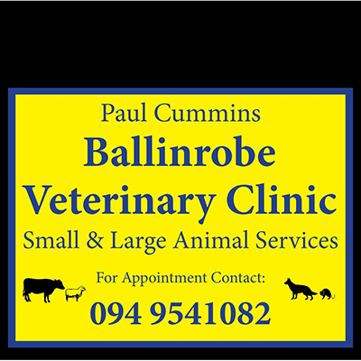 Paul Cummins Ballinrobe Veterinary Clinic