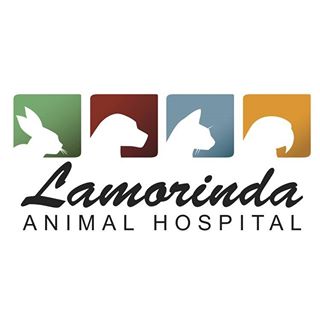 Lamorinda Animal Hospital